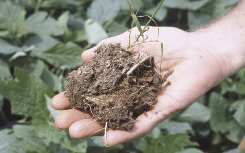 aggregated soil
