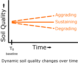 dynamic soil properties graph