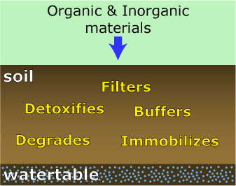 soil filtering and buffering