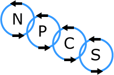 nutrient cycling