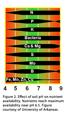 pH affect on nutrient availability