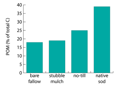effect of soil amendments on particulate organic matter