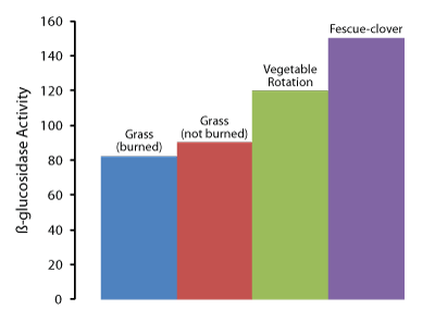 soil enzymes figure 1