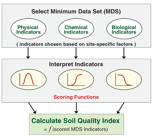 soil quality index steps